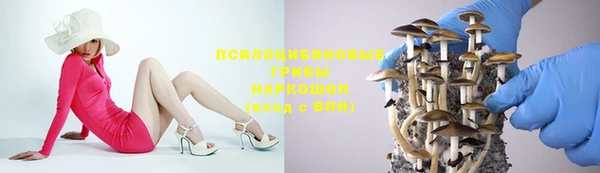 Альфа ПВП Алексеевка