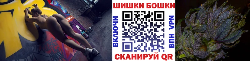 Каннабис сатива Лабинск